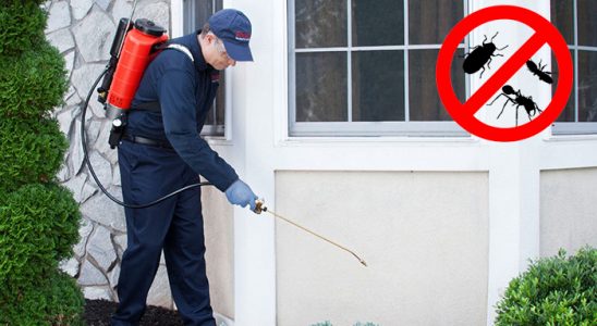 Tirebolu Dezenfeksiyon böcek ilaçlama ve haşere kontrolü — ilaclama-tr.com